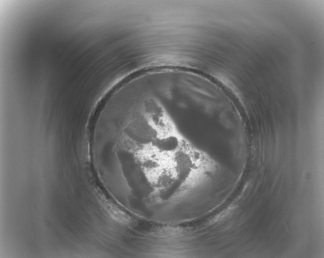 X0000068770925200605051628