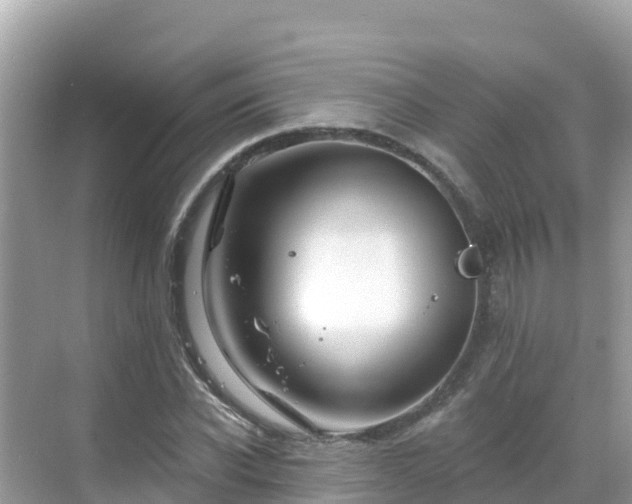 X0000068770926200605051628