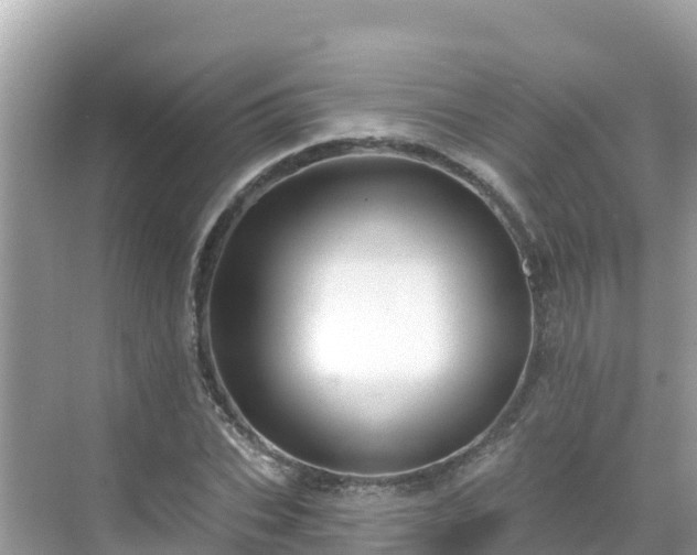 X0000068770927200605051628