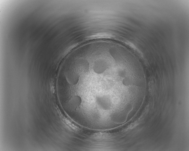 X0000068770929200605051628