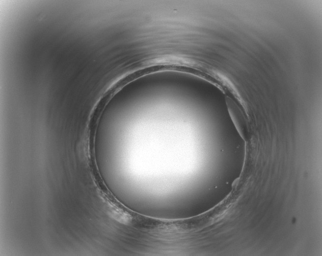 X0000068770931200605051628