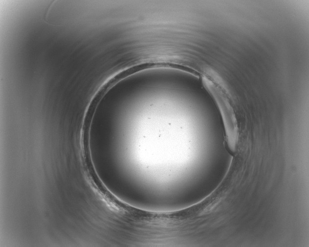 X0000068770932200605051628