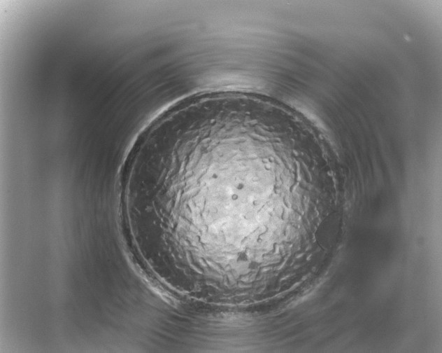 X0000068770933200605051628