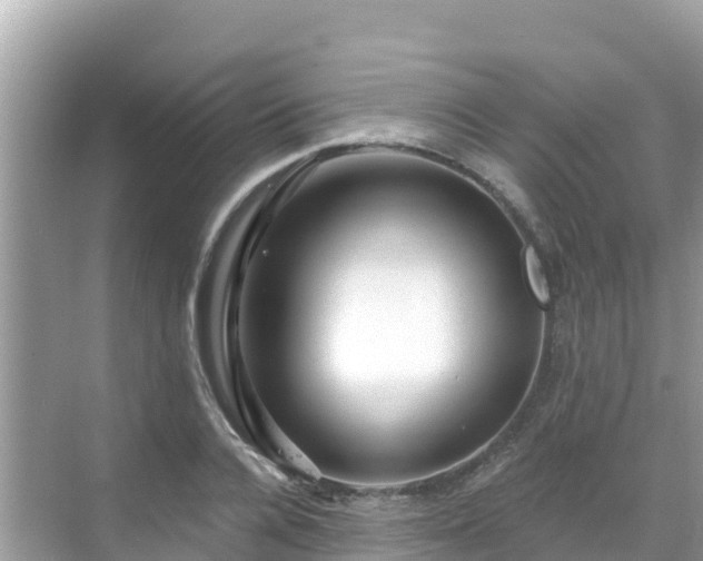 X0000068770936200605051628