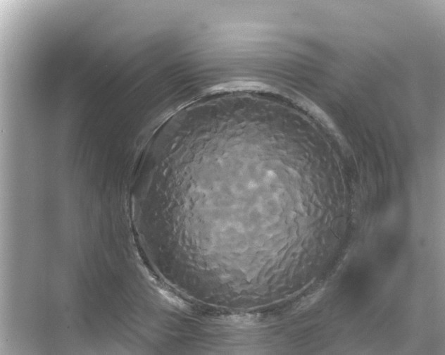 X0000068770937200605051628