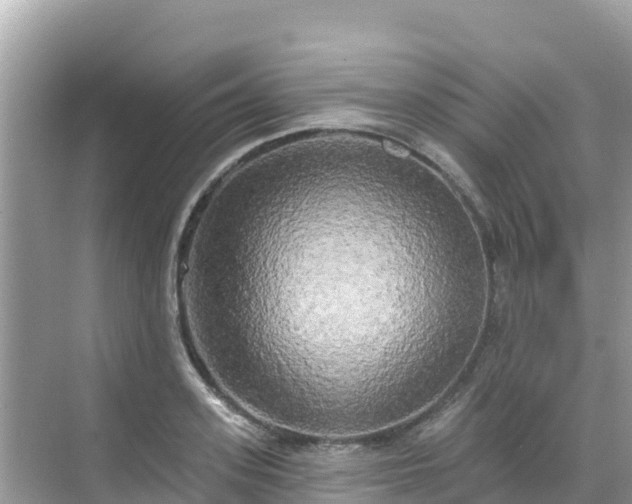 X0000068770939200605051628