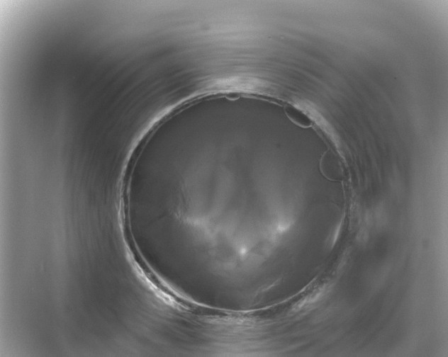 X0000068770941200605051628