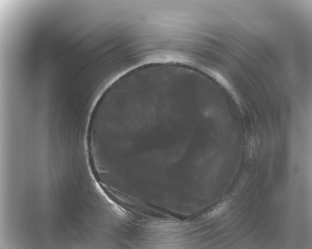 X0000068770943200605051628