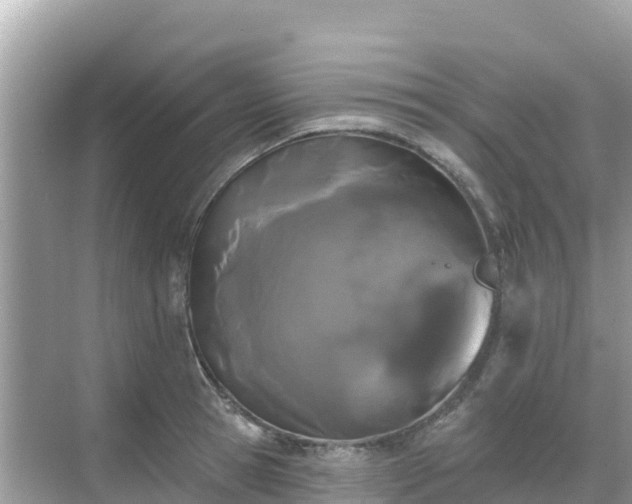 X0000068770945200605051628