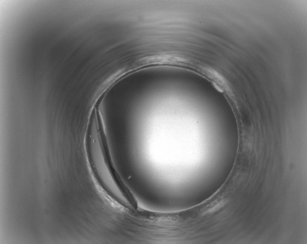 X0000068770946200605051628