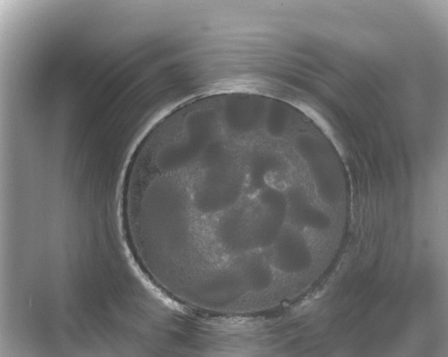 X0000068770949200605051628