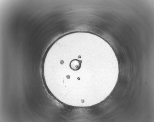 X0000068770950200605051628