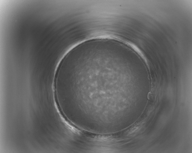 X0000068770951200605051628