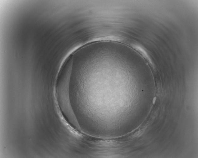 X0000068770952200605051628