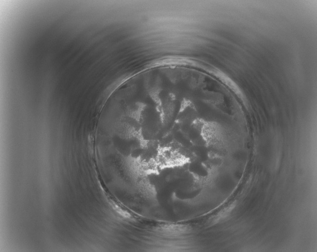 X0000068770953200605051628