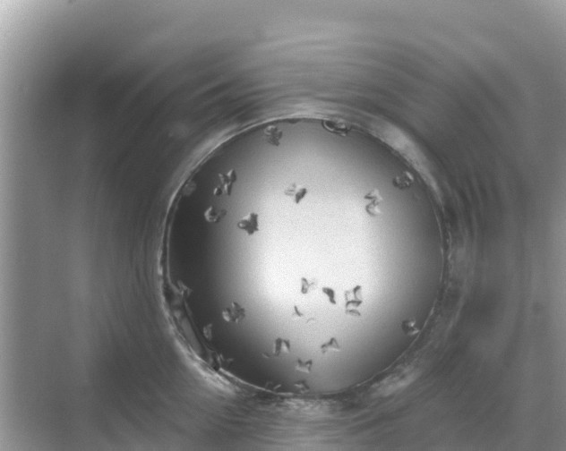 X0000068770954200605051628