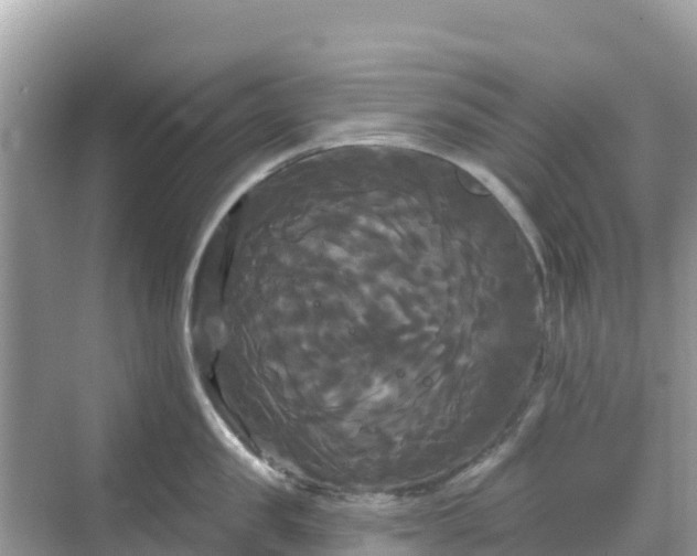 X0000068770957200605051628