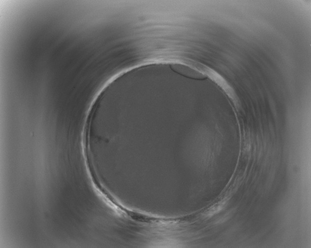 X0000068770958200605051628