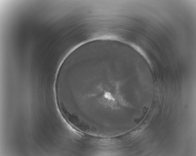 X0000068770959200605051628