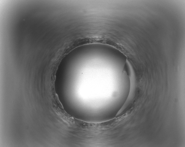 X0000068770961200605051627