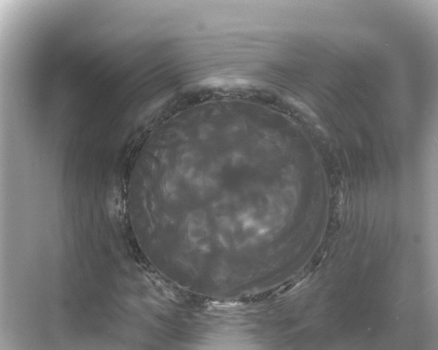 X0000068770966200605051627