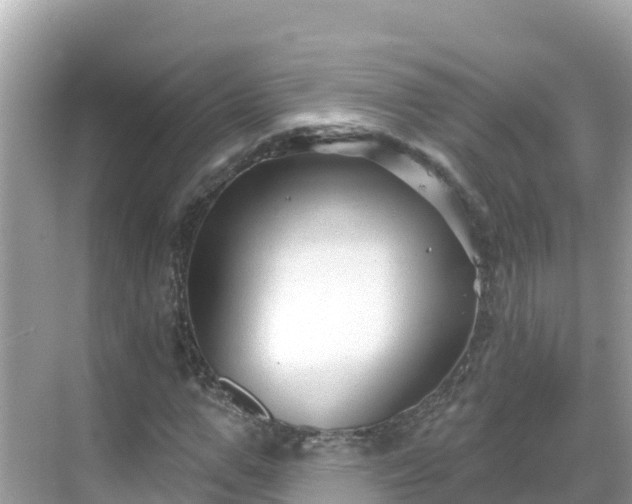 X0000068770967200605051627