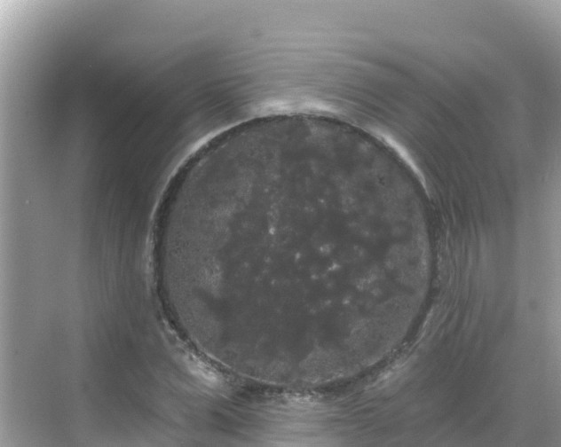 X0000068770975200605051627