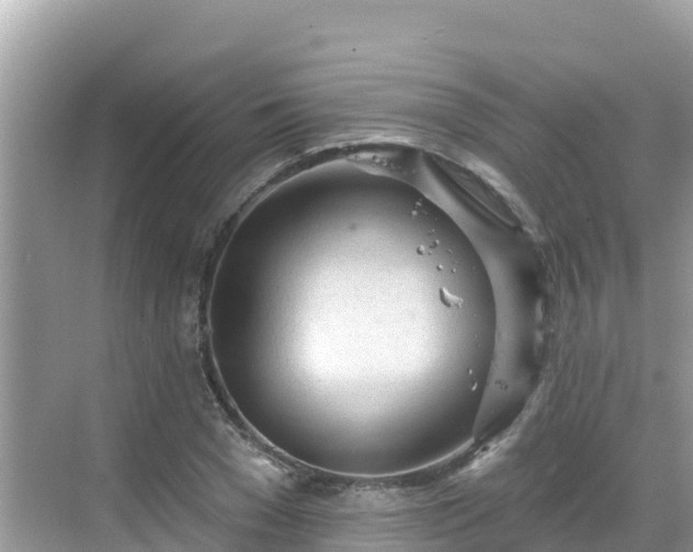 X0000068770977200605051627