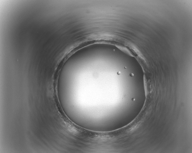 X0000068770978200605051627