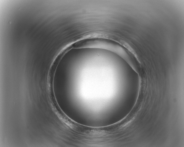 X0000068770981200605051627