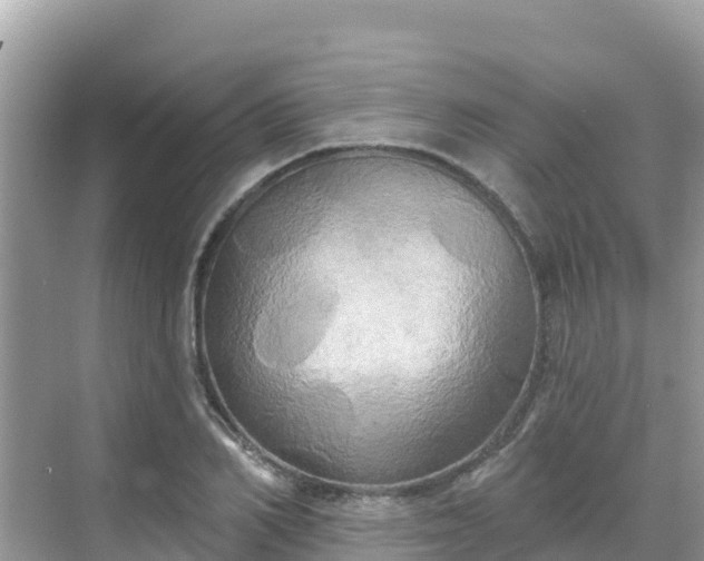 X0000068770982200605051627