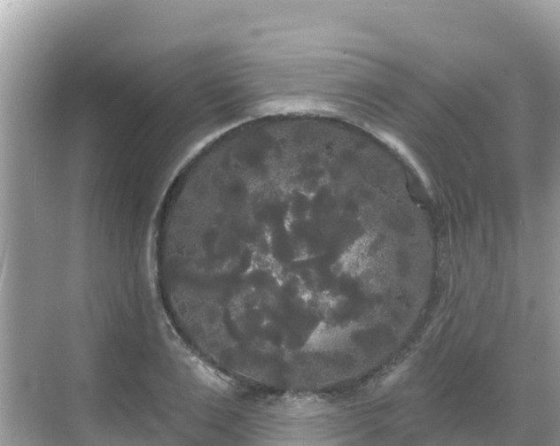 X0000068770983200605051627