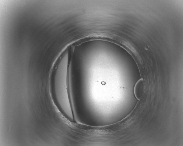 X0000068770984200605051627