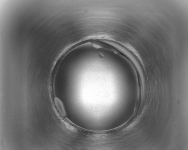 X0000068770989200605051627