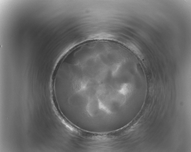 X0000068770990200605051627