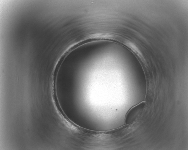 X0000068770992200605051627