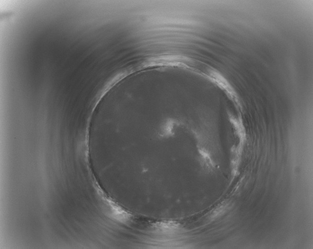 X0000068770994200605051627