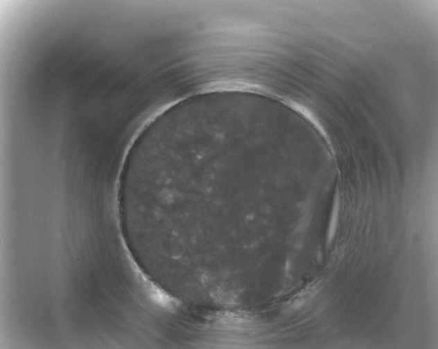 X0000068770995200605051627