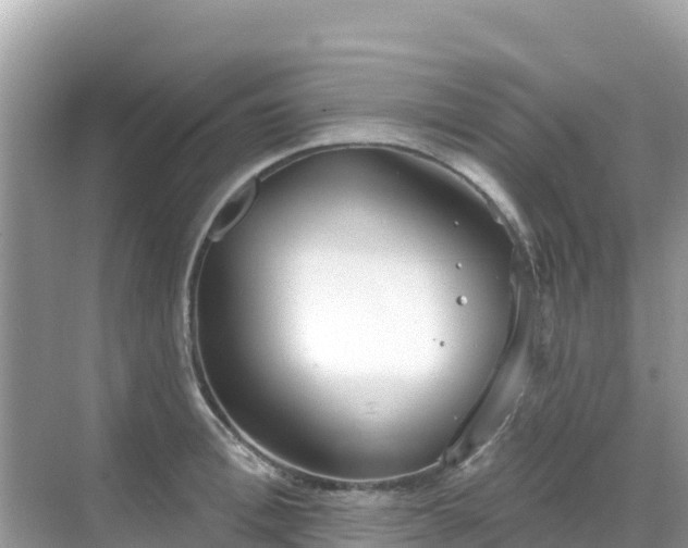 X0000068770996200605051627