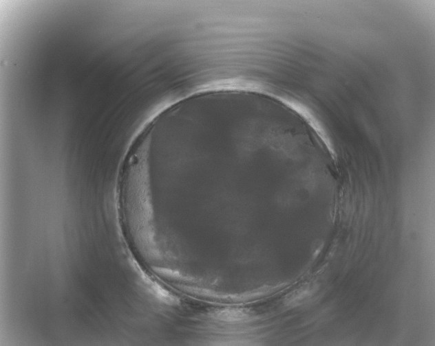 X0000068770998200605051627