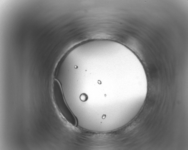 X0000068771000200605051627