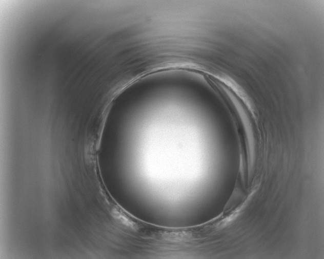 X0000068771001200605051627