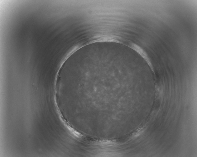 X0000068771002200605051627