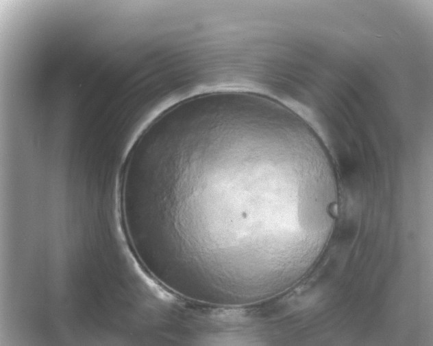 X0000068771006200605051627