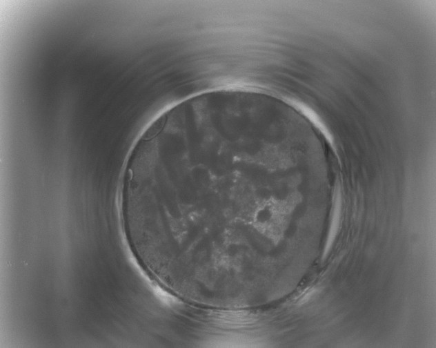 X0000068771007200605051627