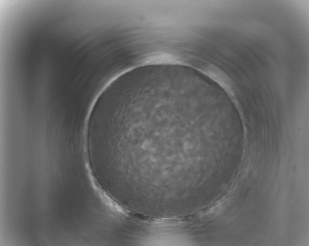 X0000068771008200605051627