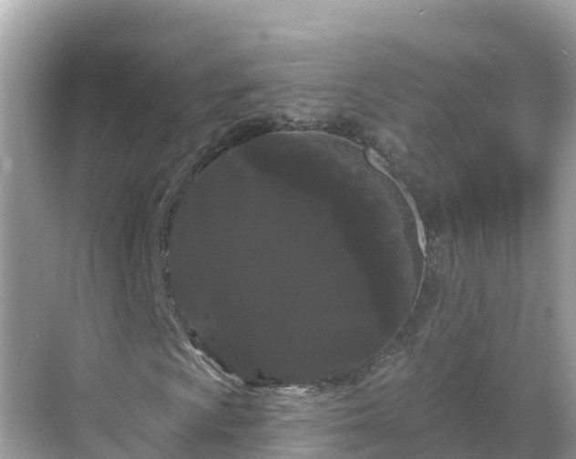 X0000068771009200605051626