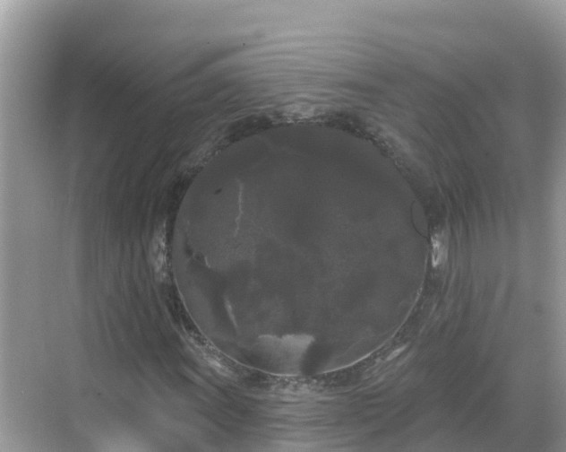 X0000068771011200605051626