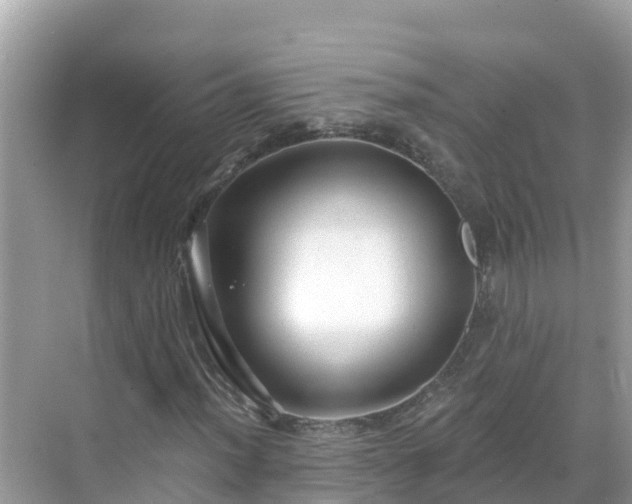 X0000068771012200605051626