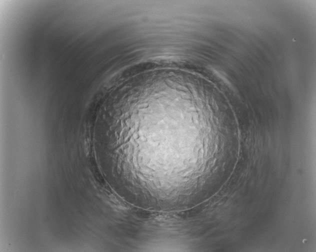 X0000068771015200605051626